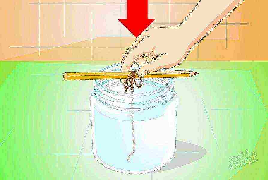 how to grow salt crystals at home