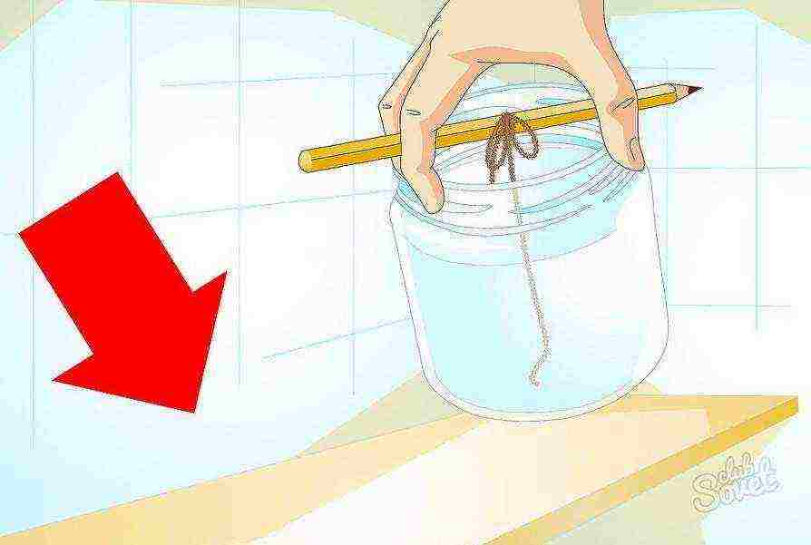 how to grow salt crystals at home