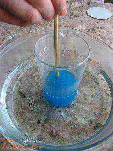 how to grow a single crystal from copper sulfate