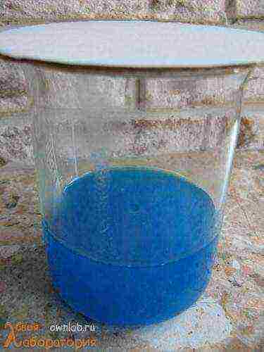 how to grow a single crystal from copper sulfate