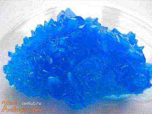 how to grow a single crystal from copper sulfate