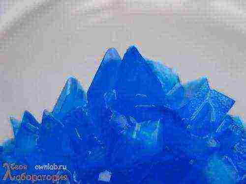 how to grow a single crystal from copper sulfate