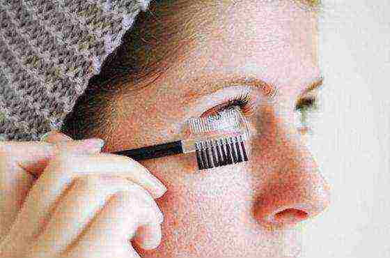 how to grow eyelashes at home