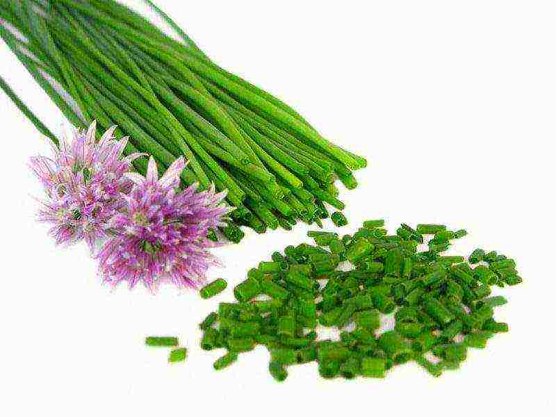 what fragrant herbs can be grown in the garden