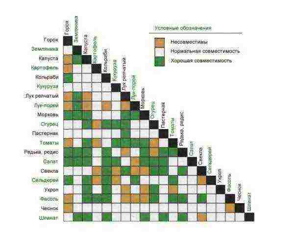 what crops can be grown in the greenhouse together