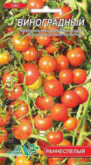 which tomatoes are best grown outdoors