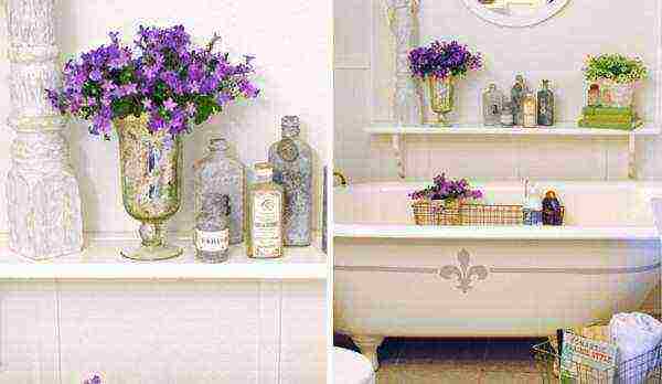 what plants can be grown in the bathroom