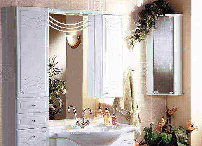 what plants can be grown in the bathroom