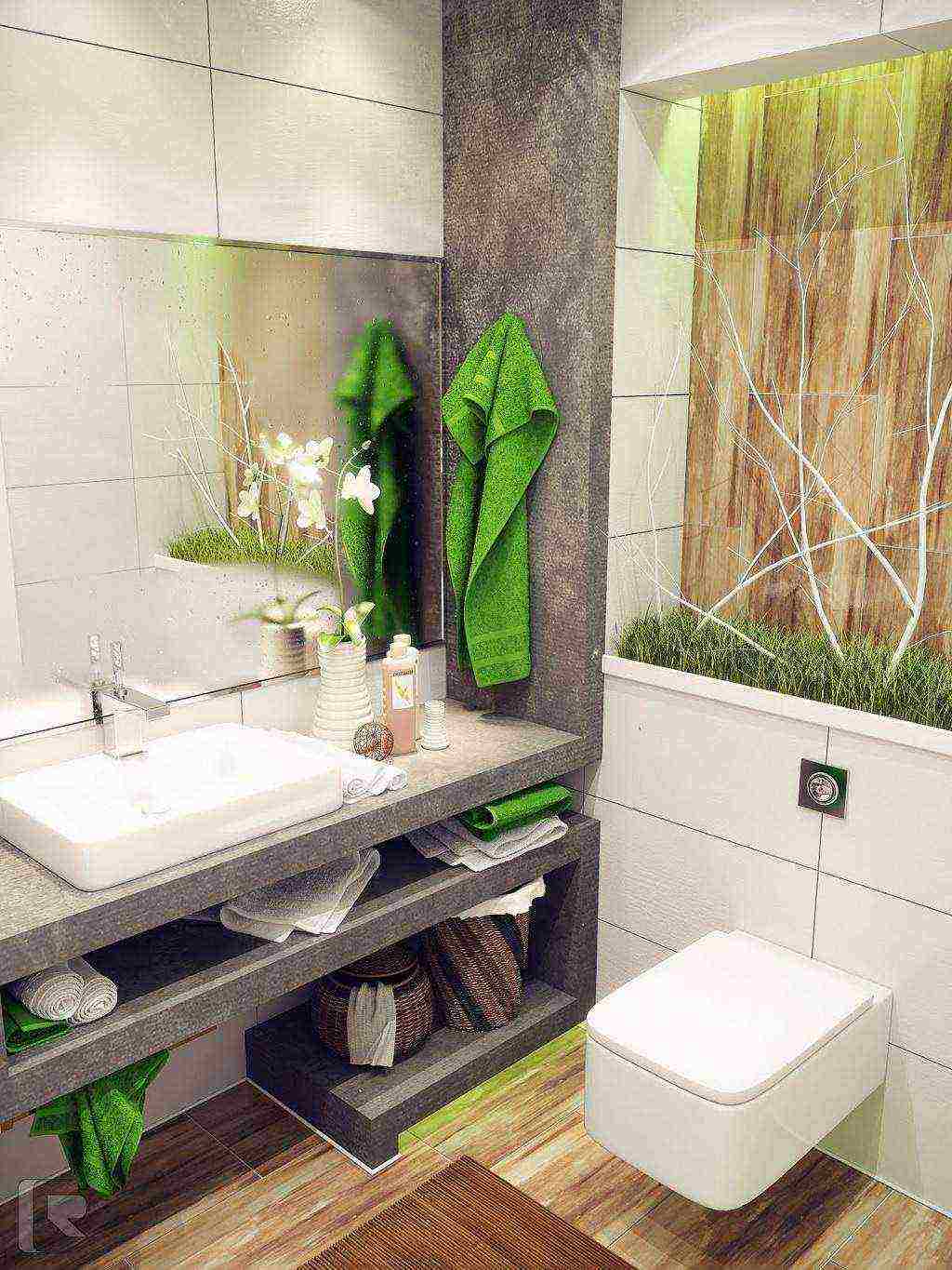 what plants can be grown in the bathroom