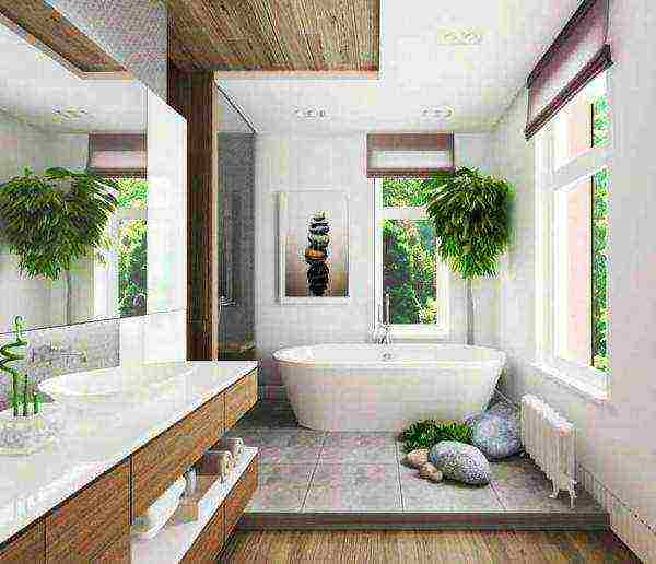 what plants can be grown in the bathroom