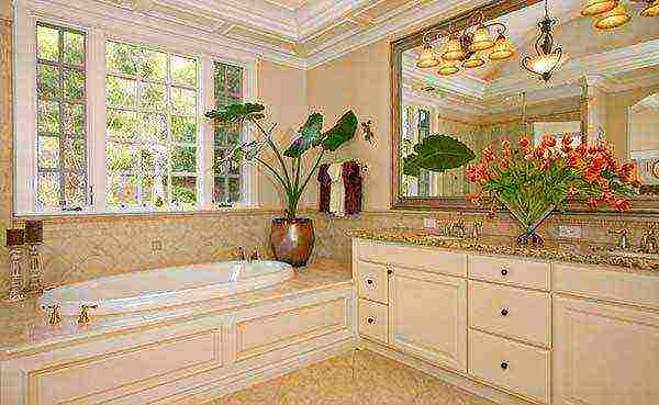 what plants can be grown in the bathroom