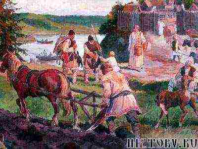 what agricultural crops were grown by the ancient Slavs