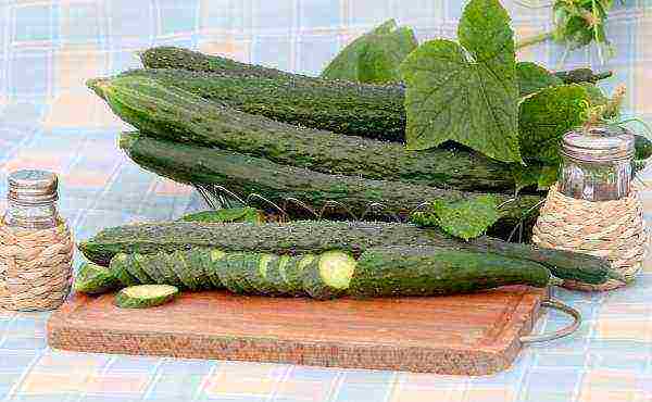what varieties are the best varieties of cucumbers