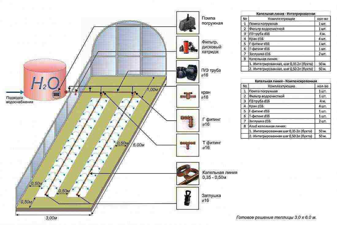 what grape varieties can be grown in the greenhouse