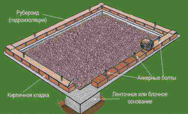 what grape varieties can be grown in the greenhouse