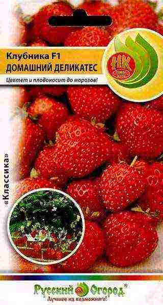 what varieties of strawberries can be grown on the balcony