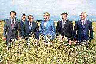 what grain crops are grown in Kazakhstan