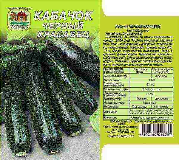 which is the best variety of zucchini