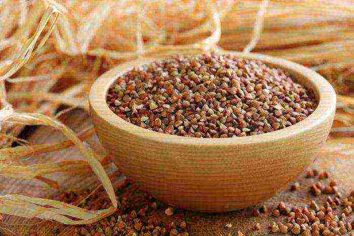 which grade of buckwheat is better