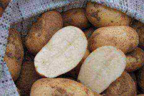 which kind of potatoes are best stored