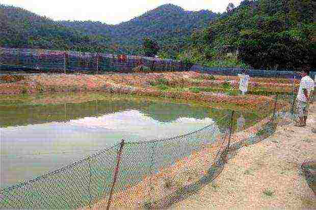 what fish are not grown in artificial reservoirs