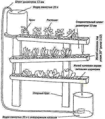 which greens are more profitable to grow hydroponically