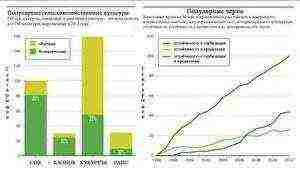 what grain crop growers grow