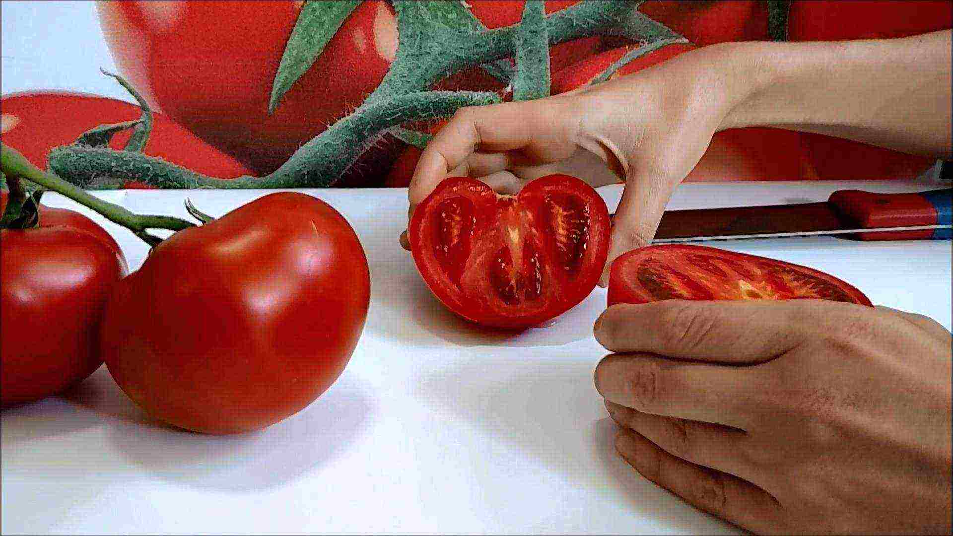 the best American varieties of tomatoes