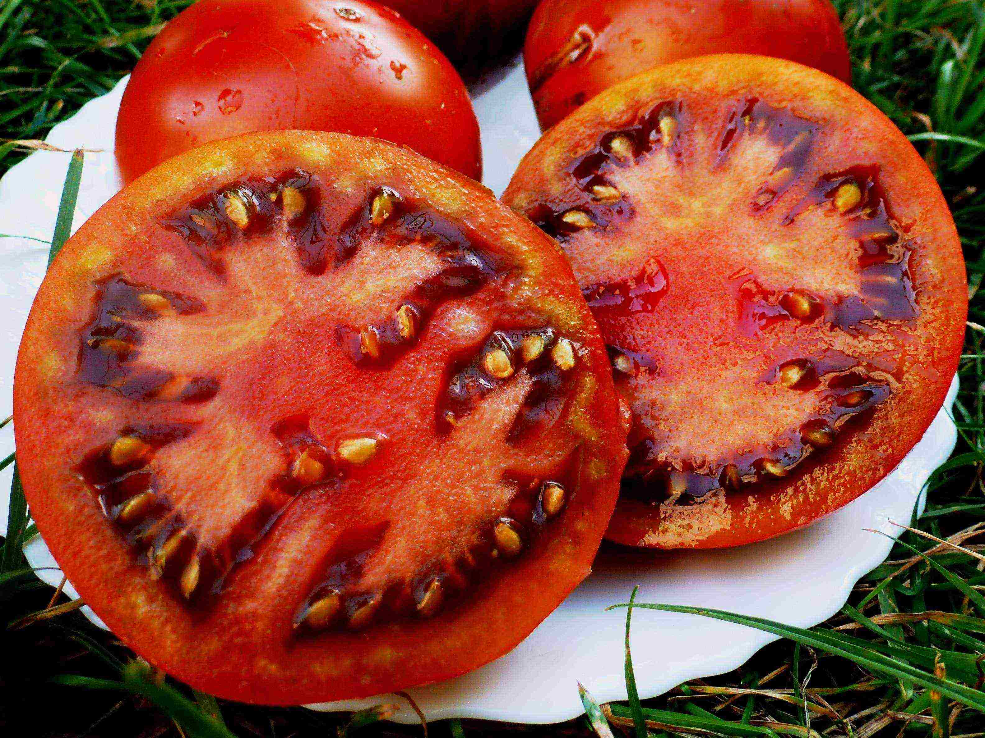 the best American varieties of tomatoes