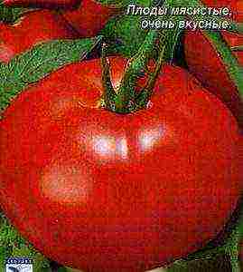 the best determinant tomato varieties