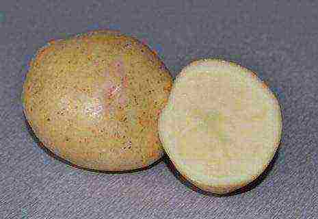 the best potato varieties for storage