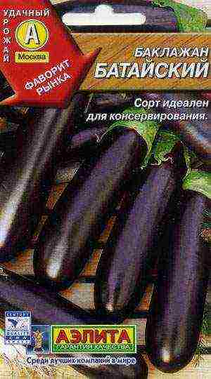 the best eggplant varieties for siberia