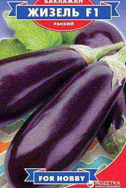 the best eggplant varieties for siberia