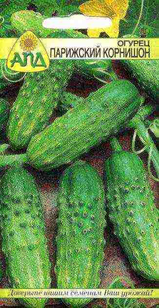 the best gherkins of cucumber varieties