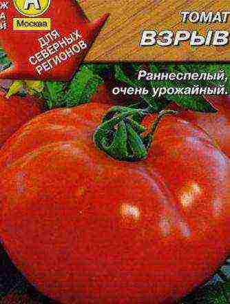 the best large varieties of tomatoes