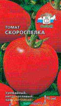 the best large varieties of tomatoes