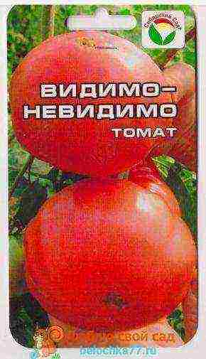 the best large varieties of tomatoes