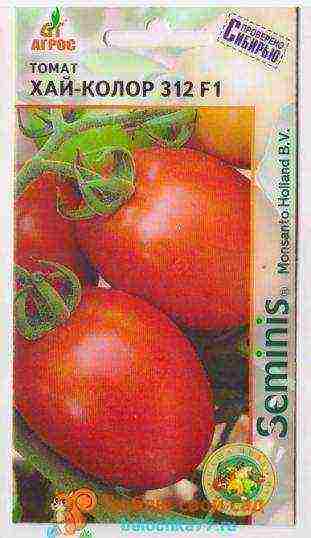 the best large varieties of tomatoes