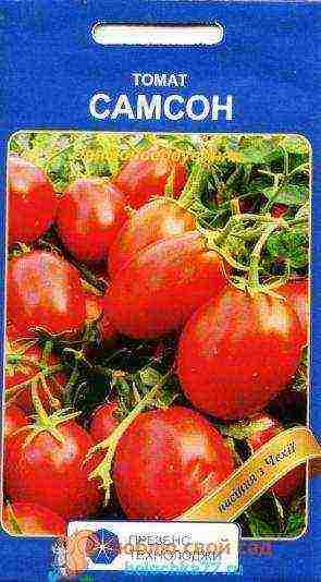 the best large varieties of tomatoes