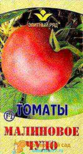 the best large varieties of tomatoes