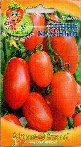 the best large varieties of tomatoes