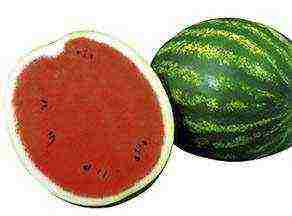 the best early varieties of watermelons