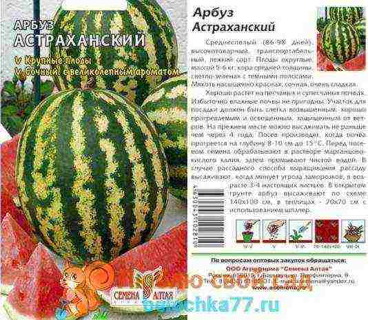 the best early varieties of watermelons