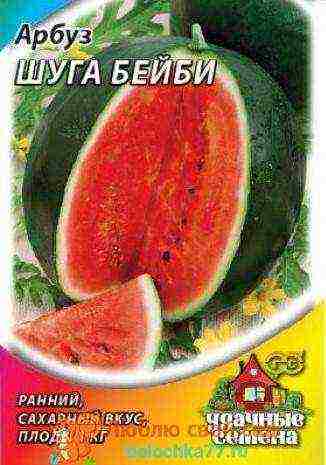 أفضل أنواع البطيخ المبكرة