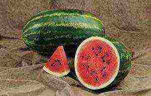 the best early varieties of watermelons