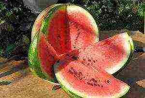 the best early varieties of watermelons