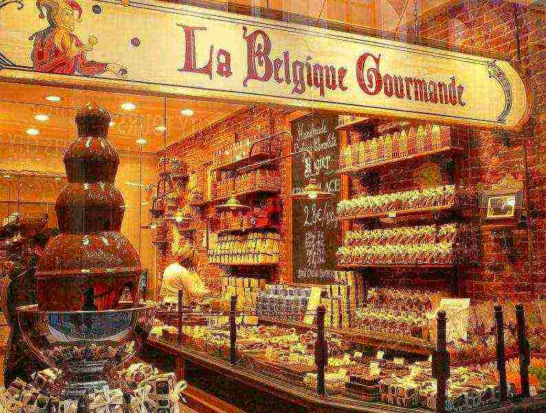 the best varieties of Belgian chocolate