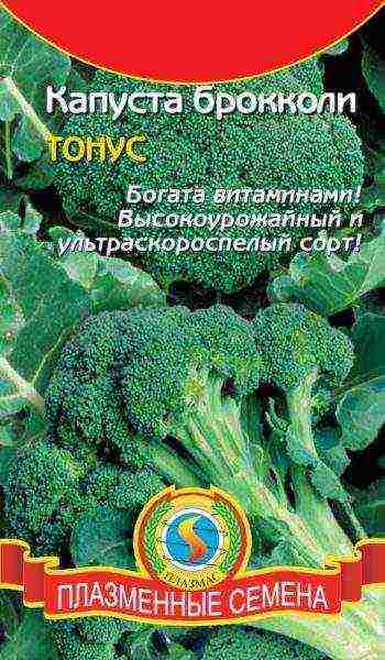 the best varieties of broccoli for the Moscow region