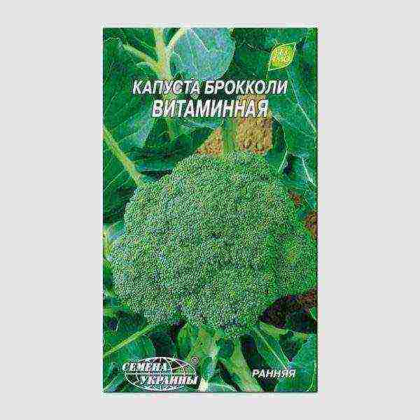 the best varieties of broccoli for the Moscow region