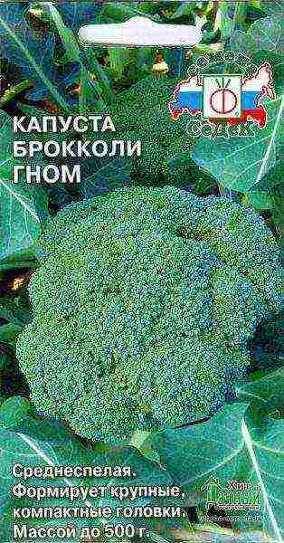 the best varieties of broccoli for the Moscow region